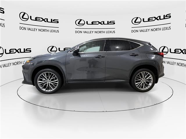 2024 Lexus NX 350  (Stk: 14U7161) in Markham - Image 6 of 30