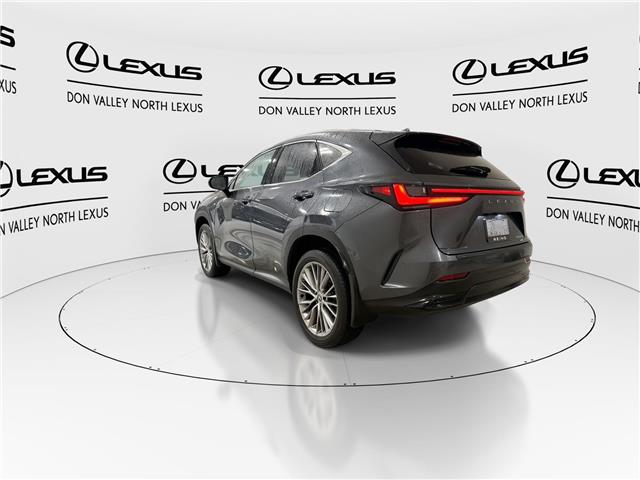 2024 Lexus NX 350  (Stk: 14U7161) in Markham - Image 7 of 30