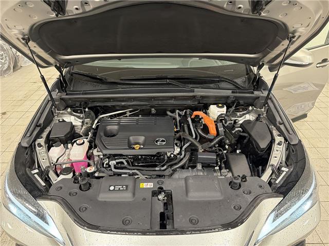 2023 Lexus NX 350h  (Stk: 14111830A) in Markham - Image 29 of 29