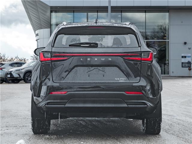 2023 Lexus NX 250  (Stk: 15105317A) in Richmond Hill - Image 7 of 28