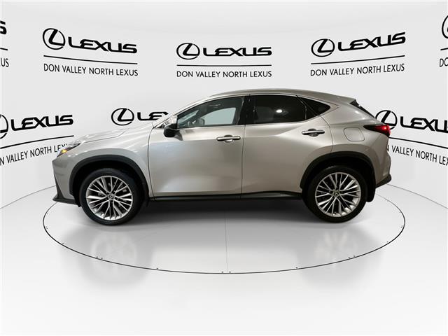 2022 Lexus NX 350h  (Stk: 14111745A) in Markham - Image 6 of 29