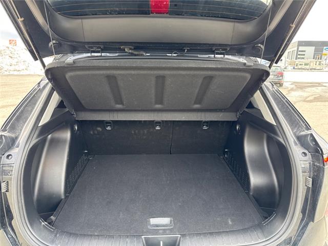 2024 Hyundai Kona  (Stk: U093028K) in Cranbrook - Image 18 of 20