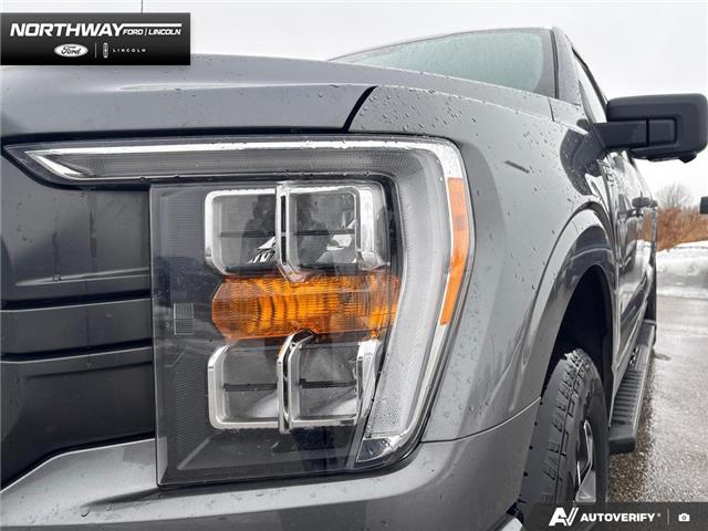 2023 Ford F-150 XLT (Stk: 5F45048A) in Brantford - Image 7 of 20