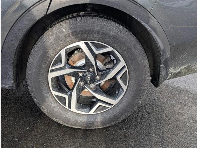 2024 Kia Sportage LX (Stk: M251159) in St. John's - Image 8 of 19