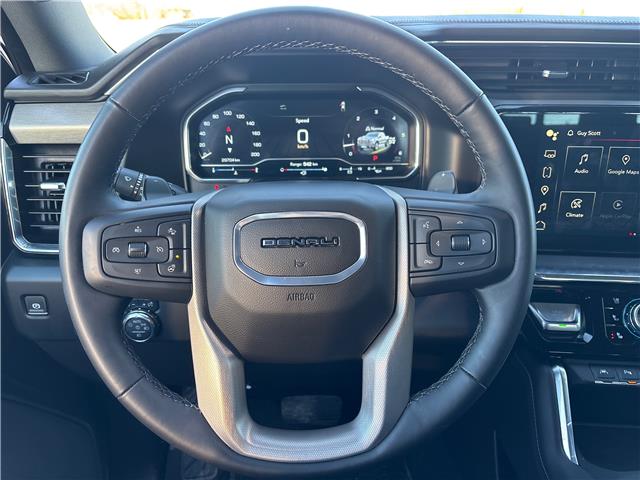 2024 GMC Sierra 1500 Denali (Stk: PW0001) in Pincher Creek - Image 13 of 14