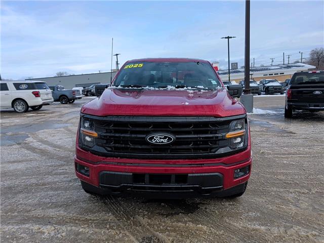 2025 Ford F-150 XLT (Stk: F1382) in Miramichi - Image 8 of 13