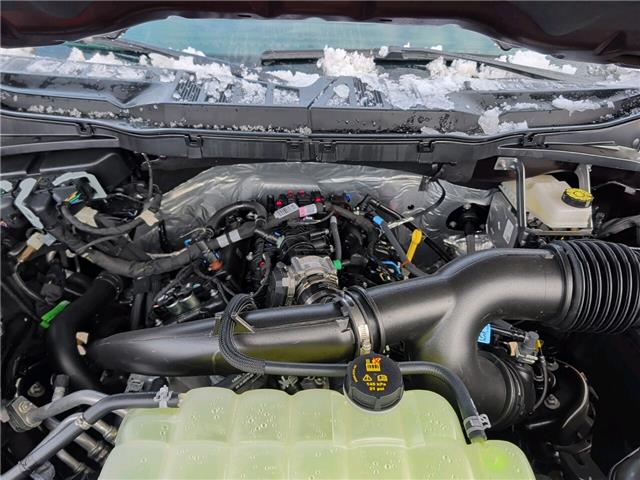 2025 Ford F-150 XLT (Stk: F1382) in Miramichi - Image 13 of 13