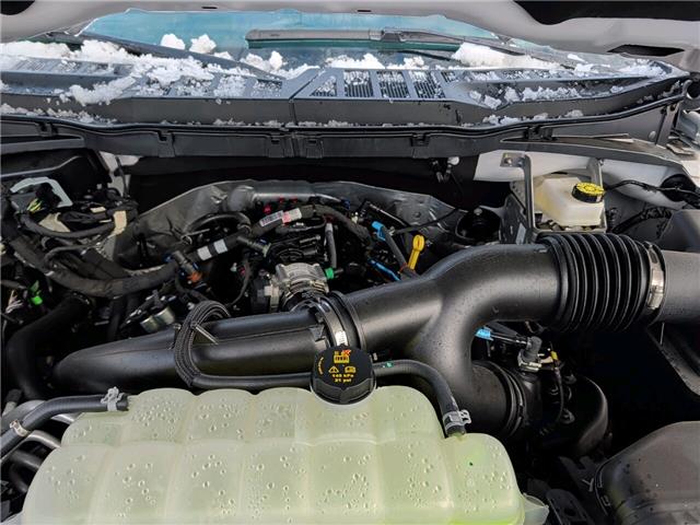 2025 Ford F-150 XLT (Stk: F1383) in Miramichi - Image 13 of 13