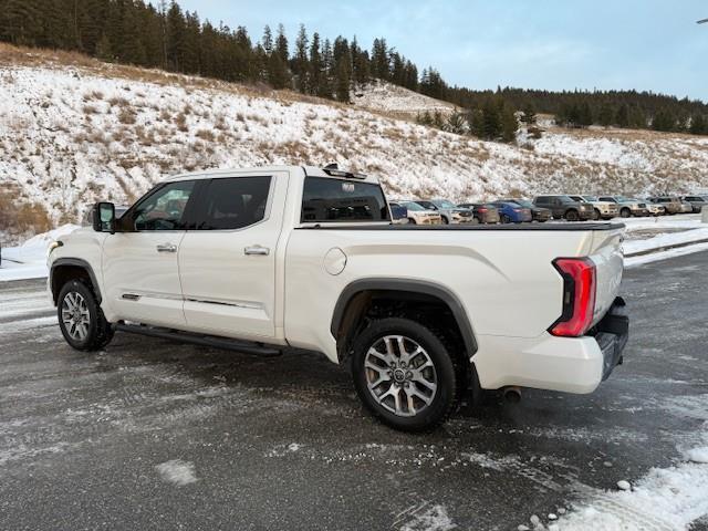 2022 Toyota Tundra Platinum (Stk: 5S020A) in Williams Lake - Image 3 of 14