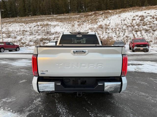 2022 Toyota Tundra Platinum (Stk: 5S020A) in Williams Lake - Image 4 of 14