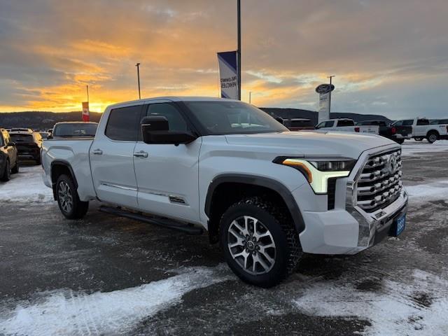 2022 Toyota Tundra Platinum (Stk: 5S020A) in Williams Lake - Image 7 of 14