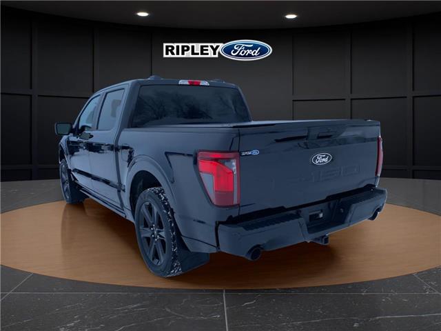 2025 Ford F-150 STX (Stk: 26003) in Melfort - Image 11 of 23