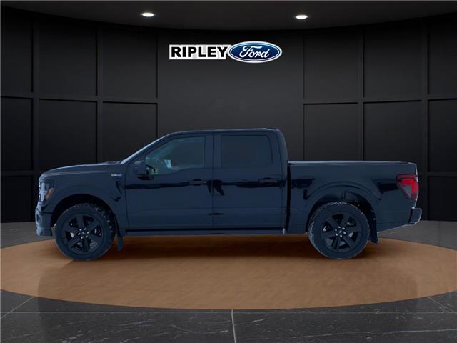 2025 Ford F-150 STX (Stk: 26003) in Melfort - Image 13 of 23