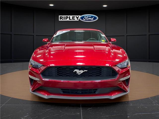 2019 Ford Mustang EcoBoost (Stk: 25103B) in Melfort - Image 2 of 14