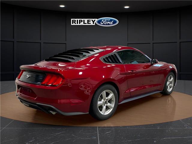 2019 Ford Mustang EcoBoost (Stk: 25103B) in Melfort - Image 5 of 14