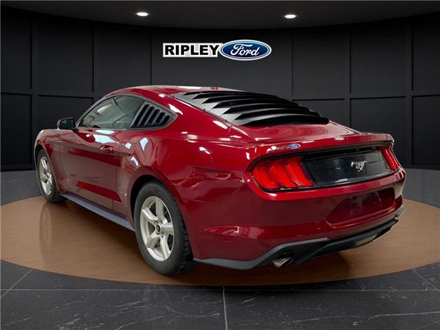 2019 Ford Mustang EcoBoost (Stk: 25103B) in Melfort - Image 7 of 14
