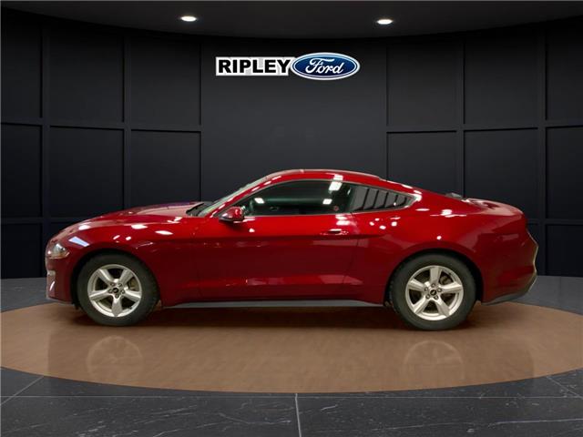 2019 Ford Mustang EcoBoost (Stk: 25103B) in Melfort - Image 8 of 14