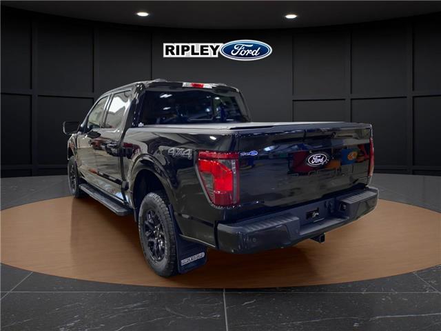 2025 Ford F-150 XLT (Stk: 25522) in Melfort - Image 10 of 22