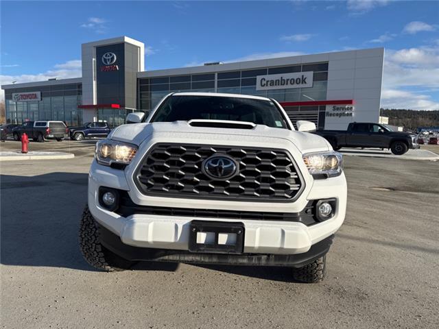 2023 Toyota Tacoma Base (Stk: T099906A) in Cranbrook - Image 8 of 20