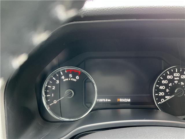 2019 Ford F-150 (Stk: 251598) in Ottawa - Image 13 of 20 2019 Ford F-150 (Stk: 251598) in Ottawa - Image 13 of 20