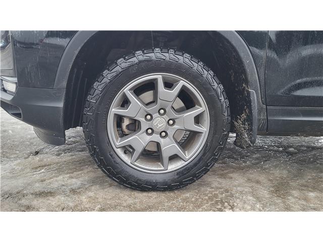 2024 Honda Passport TrailSport (Stk: N512956A) in Saint John - Image 11 of 13