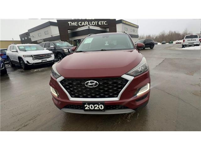 2020 Hyundai Tucson Ultimate (Stk: 25261) in Sudbury - Image 3 of 23