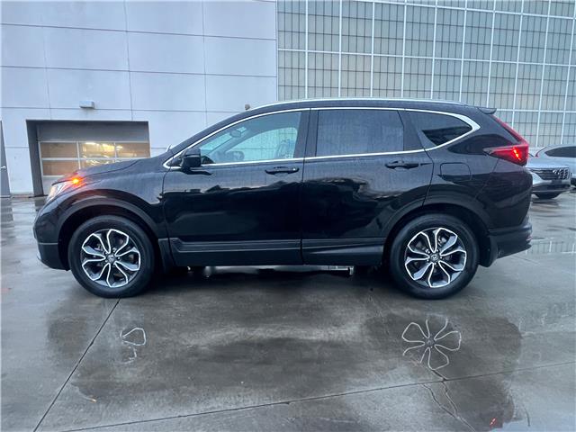 2021 Honda CR-V EX-L (Stk: V26246A) in Toronto - Image 4 of 27