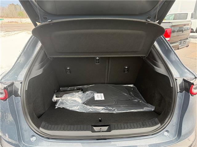 2026 Mazda CX-30 GT (Stk: 226-01) in Pembroke - Image 6 of 12