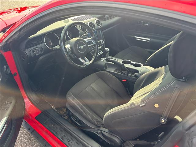 2021 Ford Mustang EcoBoost (Stk: P7325X) in Oakville - Image 15 of 24