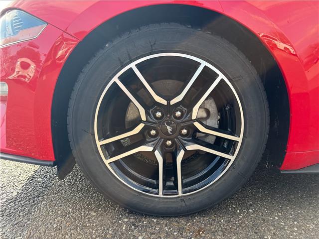 2021 Ford Mustang EcoBoost (Stk: P7325X) in Oakville - Image 9 of 24
