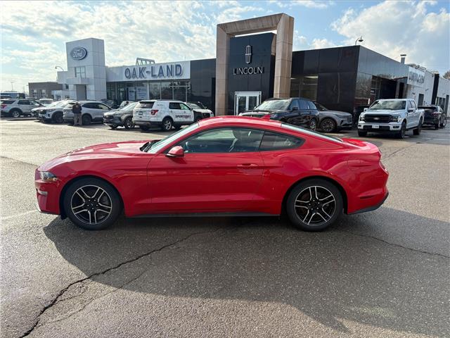 2021 Ford Mustang EcoBoost (Stk: P7325X) in Oakville - Image 8 of 24