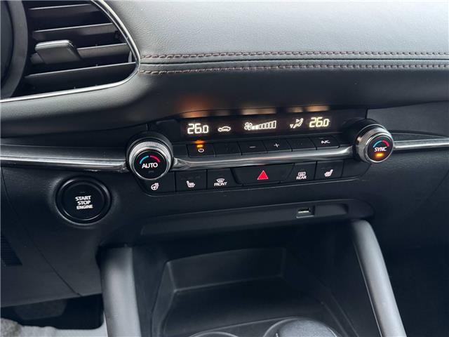 2019 Mazda Mazda3 GT (Stk: PR13742) in Windsor - Image 22 of 24