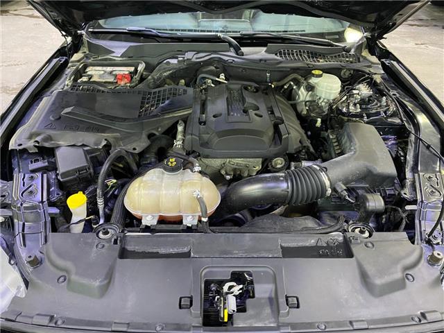 2019 Ford Mustang EcoBoost Premium (Stk: 24231B) in Melfort - Image 10 of 15