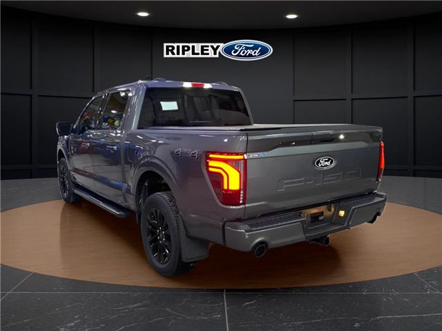 2025 Ford F-150 Lariat (Stk: 25510) in Melfort - Image 9 of 21