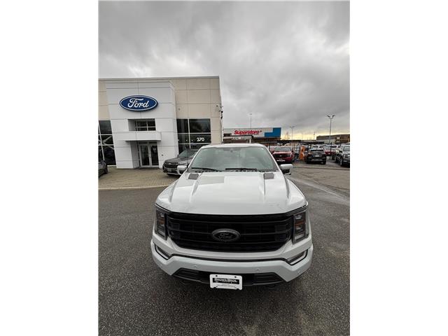 2023 Ford F-150 XL (Stk: OP25548) in Vancouver - Image 2 of 16
