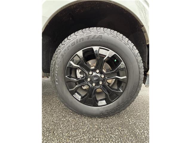 2023 Ford F-150 XL (Stk: OP25548) in Vancouver - Image 15 of 16