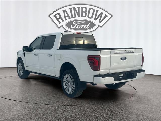 2025 Ford F-150 Platinum (Stk: 25T164) in ROCKY MOUNTAIN HOUSE - Image 3 of 15