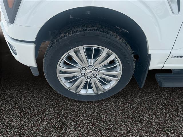 2025 Ford F-150 Platinum (Stk: 25T164) in ROCKY MOUNTAIN HOUSE - Image 14 of 15