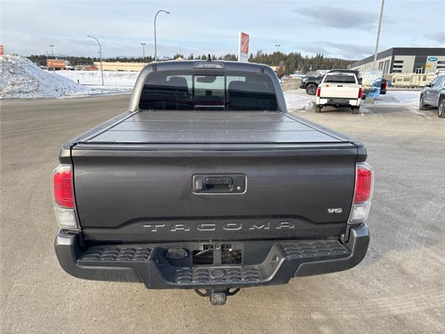 2022 Toyota Tacoma  (Stk: C272859L) in Cranbrook - Image 4 of 20