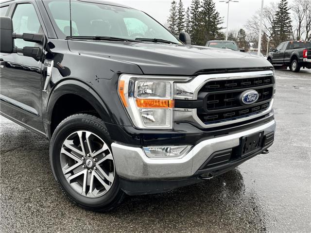 2021 Ford F-150  (Stk: DU8253T) in Ottawa - Image 3 of 15
