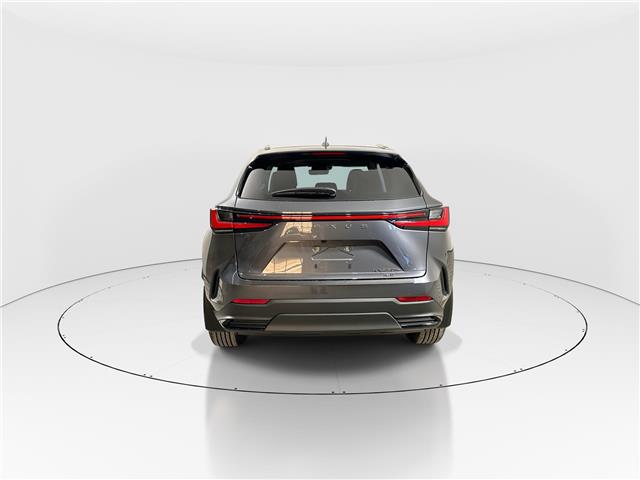 2026 Lexus NX 450h+  (Stk: 14111874) in Markham - Image 6 of 19