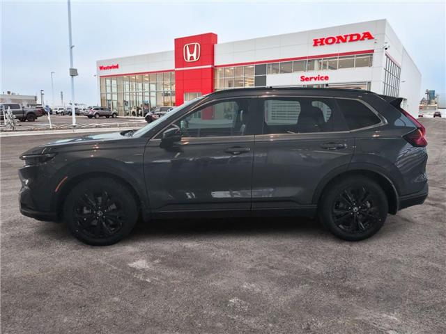 2024 Honda CR-V Hybrid Touring (Stk: 4143A) in Lethbridge - Image 6 of 23