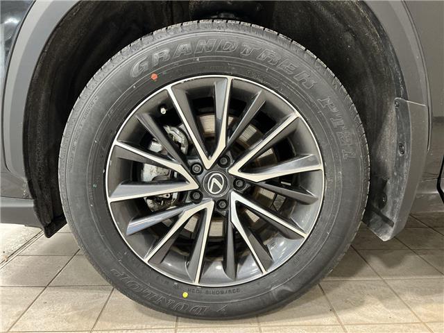 2025 Lexus NX 250  (Stk: 14U7172) in Markham - Image 11 of 25