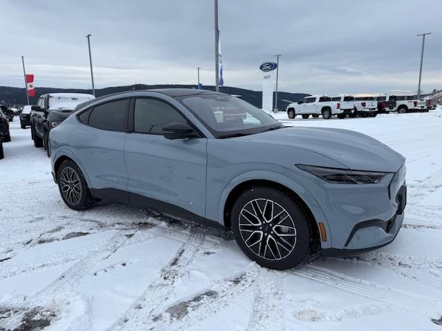 2025 Ford Mustang Mach-E Premium (Stk: 5S053) in Williams Lake - Image 7 of 13