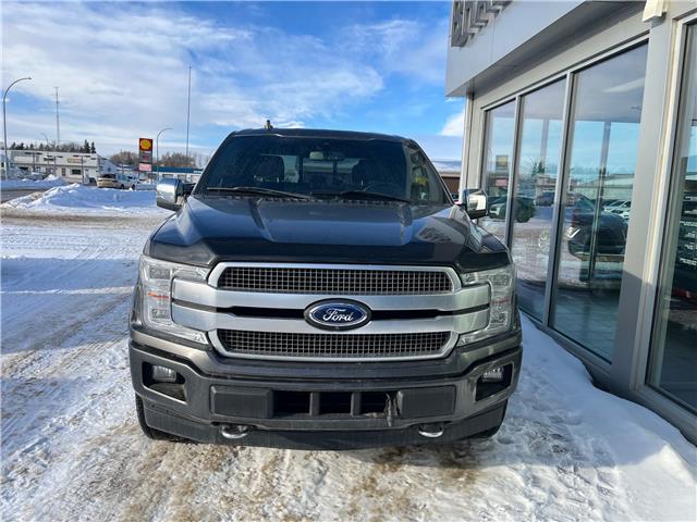 2019 Ford F-150 Platinum (Stk: 25059A) in Moosomin - Image 11 of 11