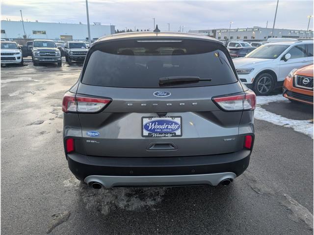 2022 Ford Escape SEL Hybrid (Stk: T-710A) in Calgary - Image 4 of 25