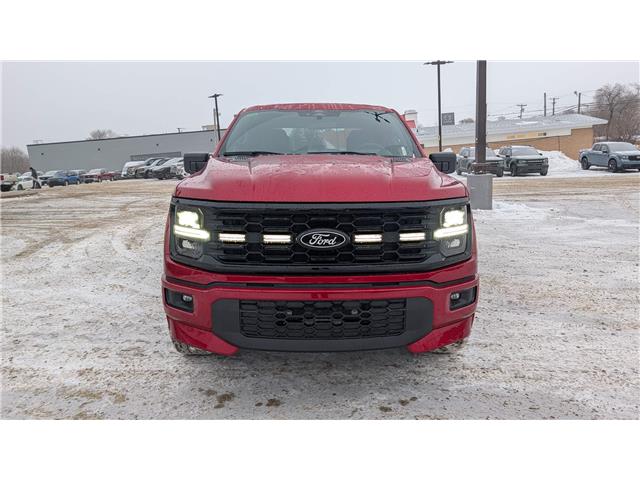 2025 Ford F-150 STX (Stk: F1393) in Miramichi - Image 8 of 13