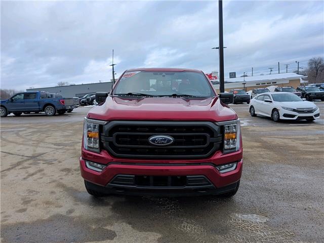 2022 Ford F-150  (Stk: 24325) in Miramichi - Image 8 of 13