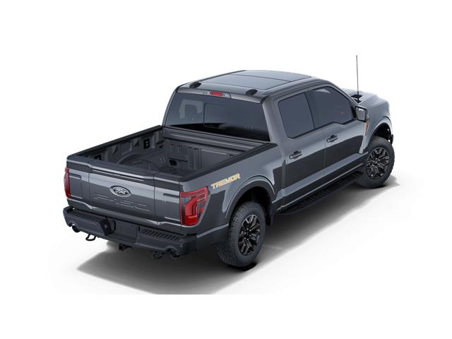 2025 Ford F-150 Tremor (Stk: W4L08871) in Richmond - Image 3 of 7