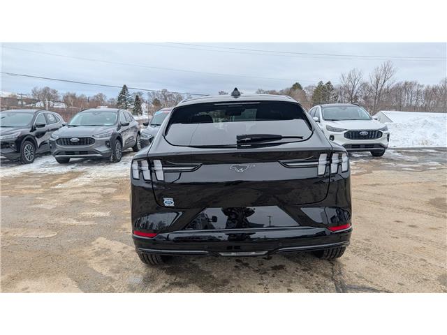 2025 Ford Mustang Mach-E Premium (Stk: MU512) in Miramichi - Image 4 of 14